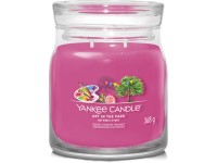 YANKEE CANDLE ART IN THE PARK SIGNATURE STŘEDNÍ