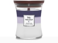 WoodWick Trilogy Evening Luxe sklo střední