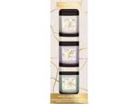 Yankee Candle dárková sada 3 skleněných votivních svíček Little Luxuries